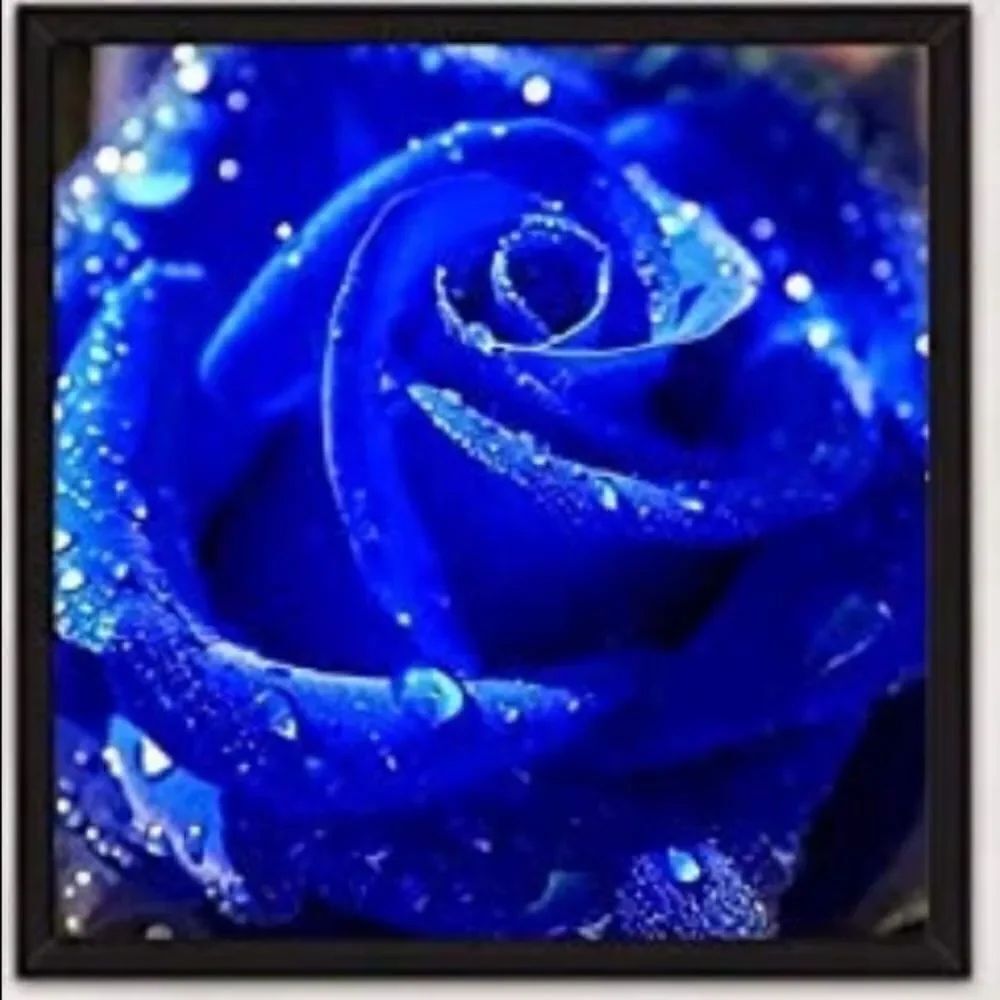 BLUE ROSE diamond painting!! - Picture 3 of 13